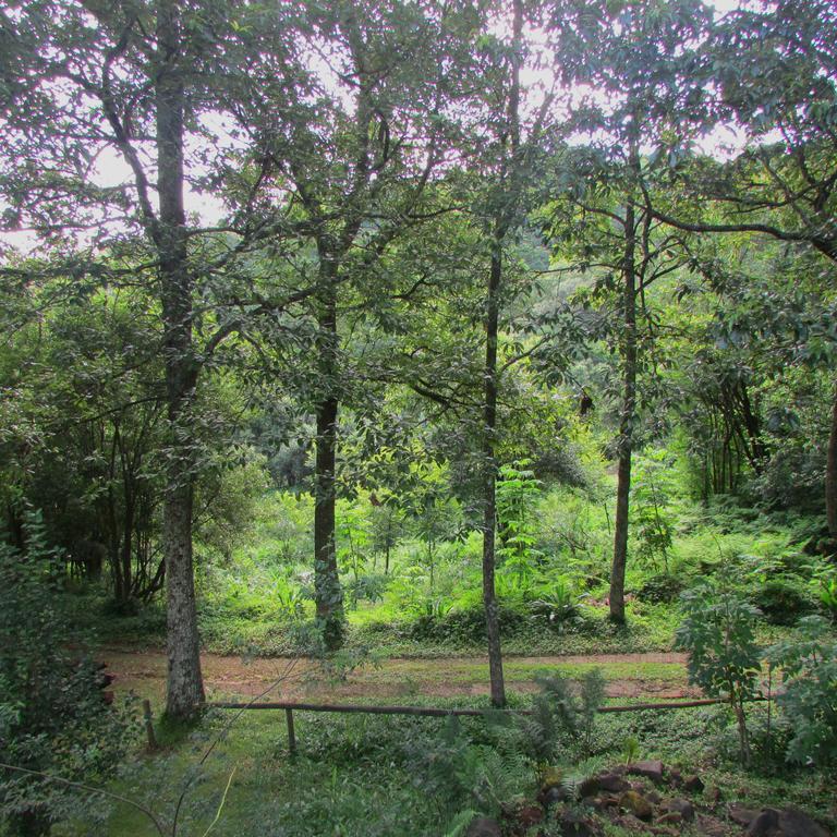 Old Pine Cabin Karkloof Karkloof Nature Reserve Ngoại thất bức ảnh