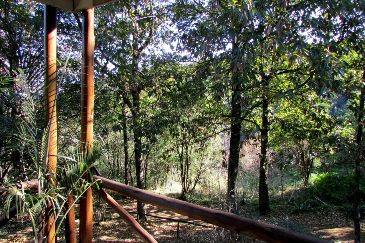 Old Pine Cabin Karkloof Karkloof Nature Reserve Ngoại thất bức ảnh